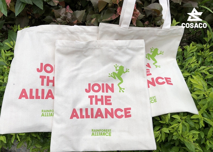 Các loại túi vải canvas in logo phổ biến hiện nay