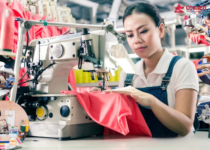 Tại sao nên đặt may túi vải bố TPHCM ngay hôm nay?