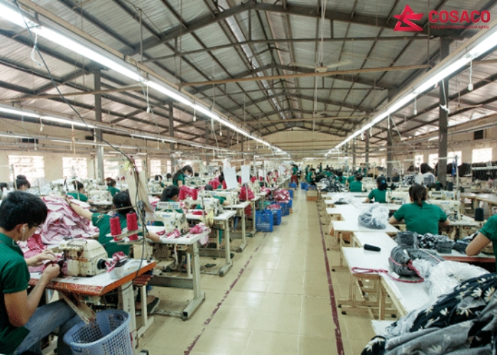 Ứng dụng đa dạng của túi vải Canvas từ xưởng may túi vải Canvas TPHCM