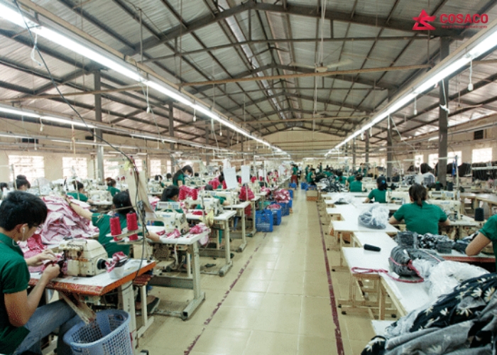 Đa dạng mẫu mã túi vải bố – Từ thiết kế tối giản đến sản phẩm độc quyền