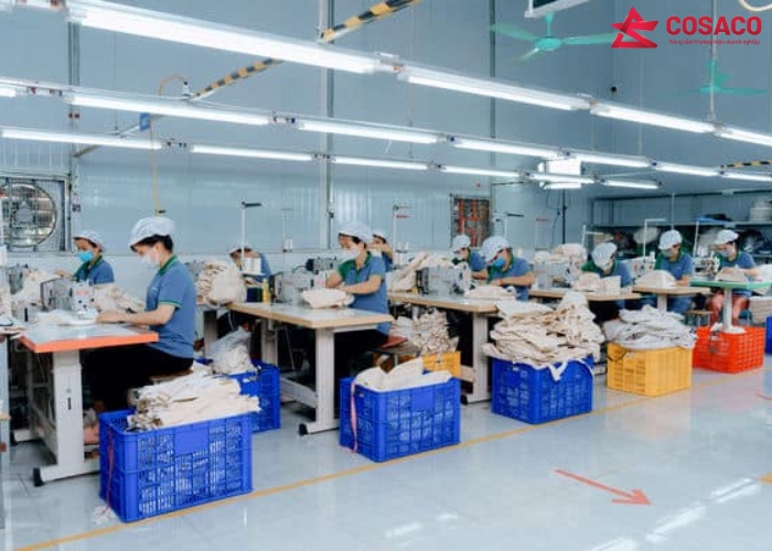 Xưởng sản xuất túi vải Canvas TPHCM – Giao hàng siêu tốc, luôn đúng hẹn