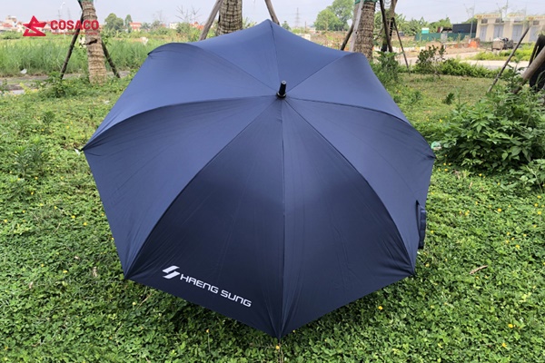 dù che mưa cầm tay TPHCM
