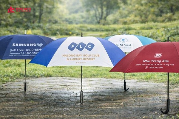 in dù theo yêu cầu TPHCM