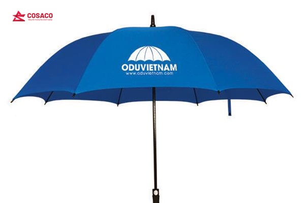 in dù theo yêu cầu TPHCM