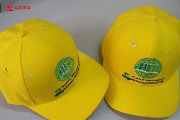 may nón tai bèo TPHCM