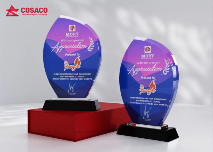 Cúp, kỷ niệm chương vinh danh