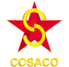 logo flag